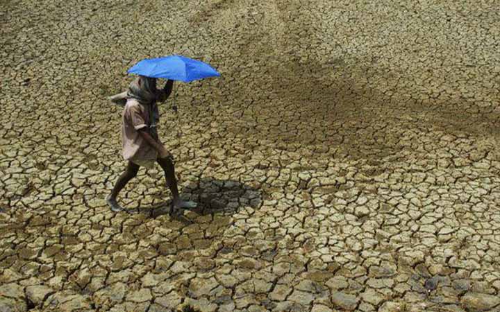 উত্তর ভারত পুড়ছে! রেকর্ড ভেঙে তাপমাত্রা ছাড়াল ৪৭ ডিগ্রি