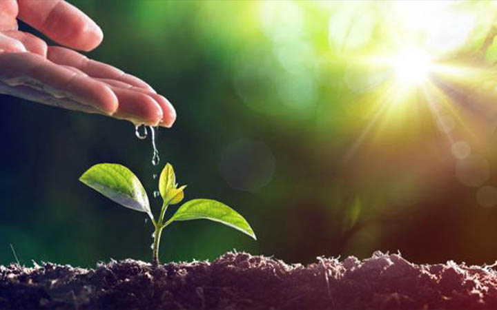 বিশ্ব পরিবেশ দিবস আজ