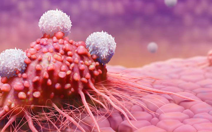 ক্যানসারের ঝুঁকি কমাতে কী করবেন?