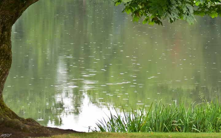 গুঁড়ি গুঁড়ি বৃষ্টি হতে পারে