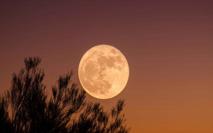 সুপারমুন: চাঁদ ১৪ শতাংশ বড় ও ৩০ শতাংশ উজ্জ্বল দেখাবে