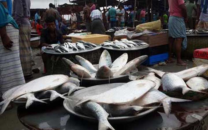 কারওয়ান বাজারে র‌্যাবের অভিযান