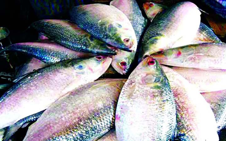দ্বিতীয় চালানে ৬৩ মেট্রিক টন ইলিশ গেল ভারতে