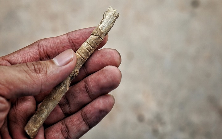 দাঁতের সুরক্ষায় মিসওয়াকের গুরুত্ব