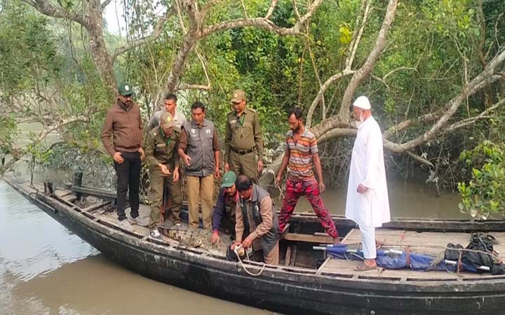 সুন্দরবনে কুমিরসহ ১৮ বন্যপ্রাণী অবমুক্ত