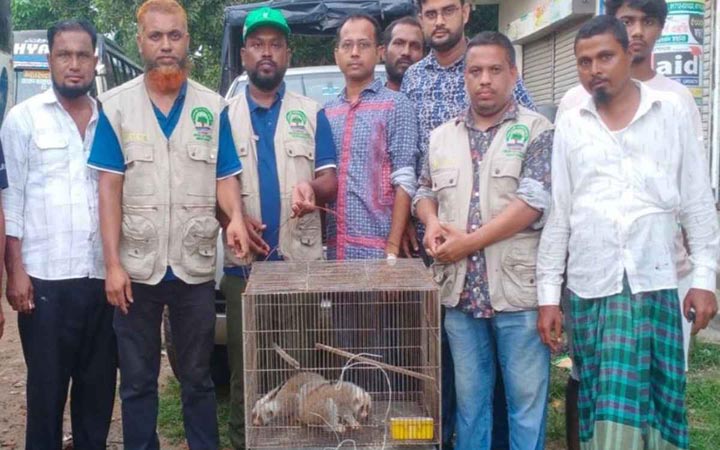 ময়মনসিংহ বিপন্ন ২ লজ্জাবতী বানর উদ্ধার