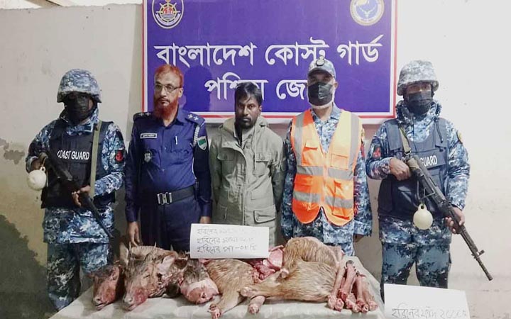 মোংলায় ৩২ কেজি হরিণের মাংস, মাথা, পা ও ফাঁদসহ শিকারি আটক