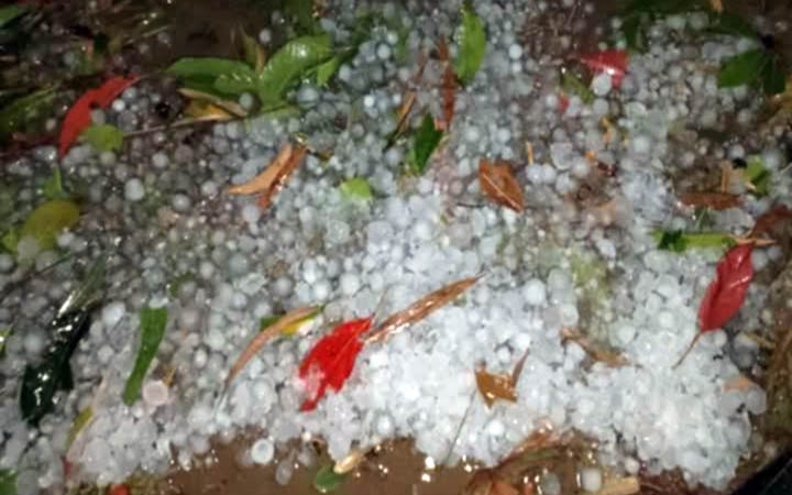 মৌলভীবাজারে শিলাবৃষ্টিতে কৃষকের ব্যাপক ক্ষতির আশঙ্কা