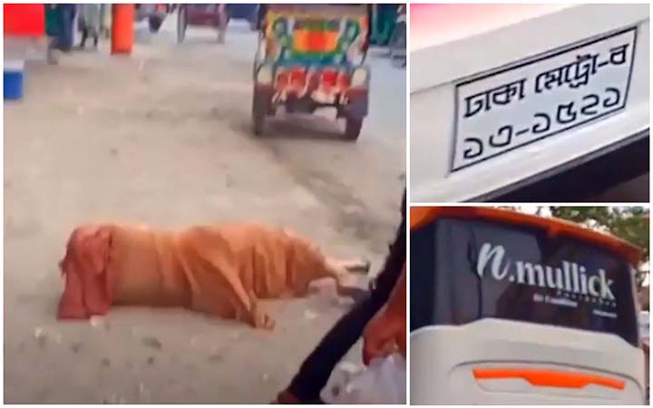প্রতিবন্ধী নারীকে ফেলে দেওয়া সেই বাসের চালক ও হেলপার গ্রেপ্তার