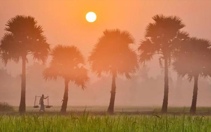 কুয়াশা ও তাপমাত্রা নিয়ে যে বার্তা দিল আবহাওয়া অধিদপ্তর