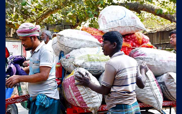 রাজবাড়ীতে পেঁয়াজের দরপতন, ক্ষতির মুখে কৃষকরা