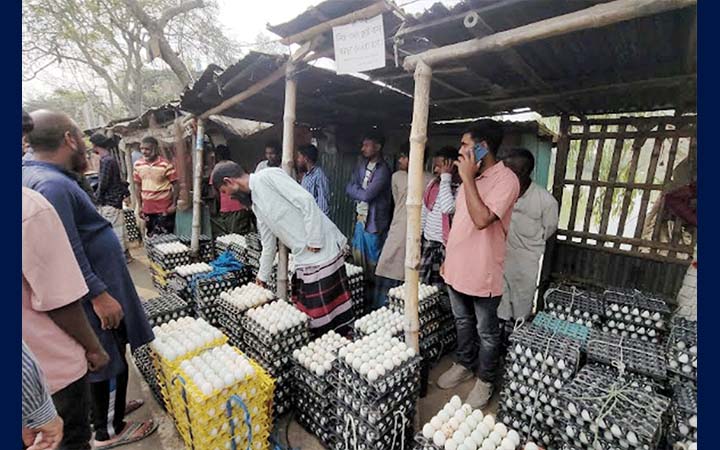 সিংড়ায় ডিমের দামে ধস, ক্ষতির মুখে হাঁস খামারি
