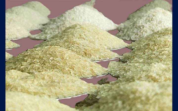 বগুড়ায় চুরি হওয়া ৪২০ বস্তা চাল উদ্ধার