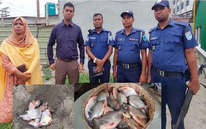 সোনারগাঁয়ে ২৫ কেজি নিষিদ্ধ পিরানহা মাছ জব্দ