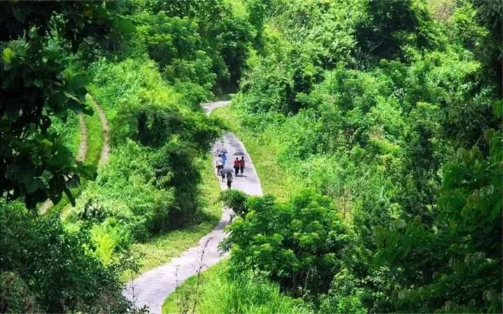 বান্দরবানে গোলাগুলিতে ৪ জন নিহত