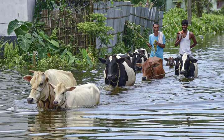 প্রবল বৃষ্টিতে বন্যার কবলে আসাম