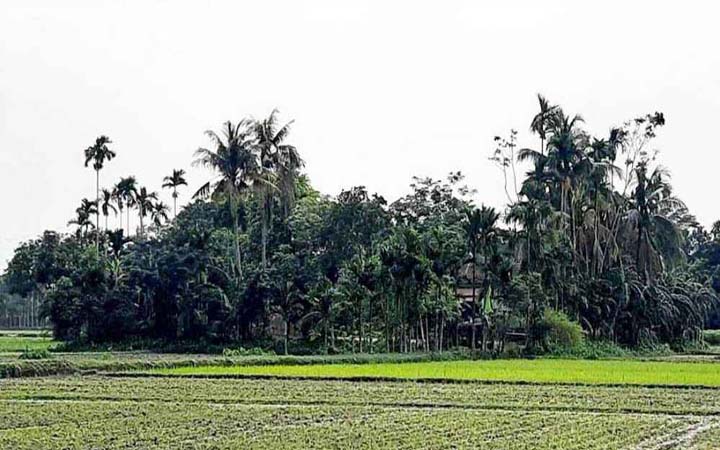 বিক্রি হয়ে গেল ৪ জন বসতির সেই উমানাথপুর গ্রাম