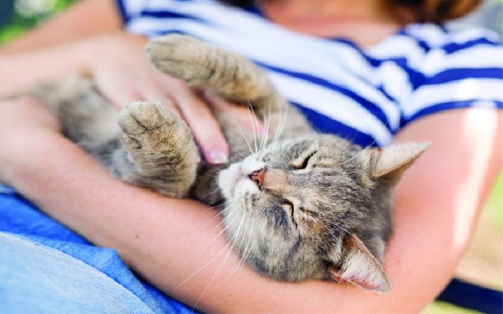 পোষা প্রাণীর কারণে হতে পারে এলার্জি