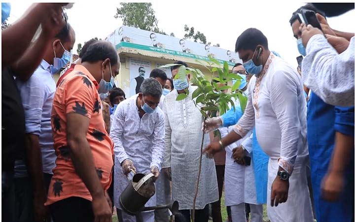মুজিববর্ষ উপলক্ষে পাবনার আতাইকুলায় ১২শ’ গাছের চারা রোপণ উদ্বোধন