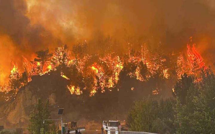তুরস্কে ভয়াবহ দাবানল, ১০ ফায়ার সার্ভিস কর্মীর মৃত্যু