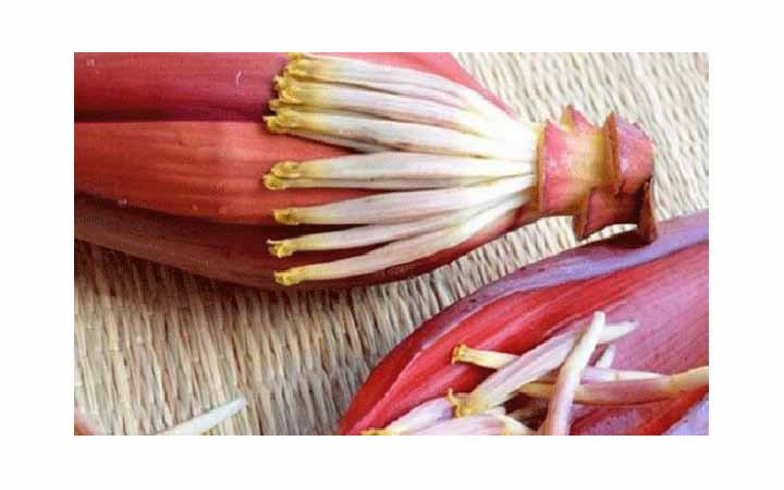 কলার মোচার পুষ্টিগুন