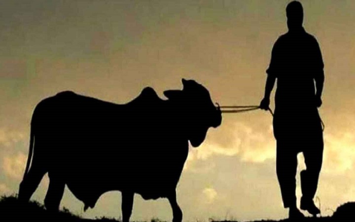 কোরবানি কার ওপর ওয়াজিব