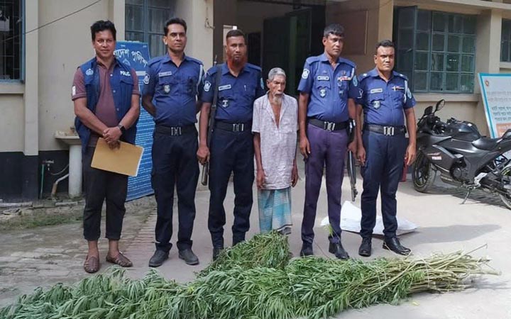 পীরগাছায় গাঁজা শুকাতে গিয়ে বৃদ্ধ আটক