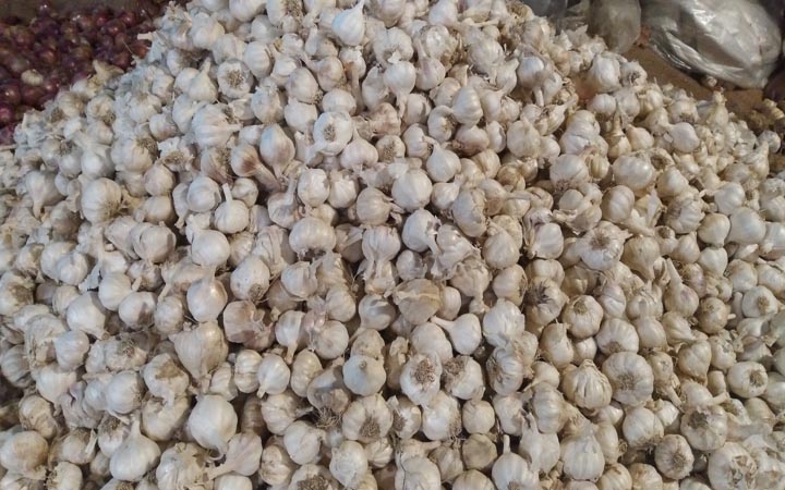হিলিতে রসুন কেজিতে ৫০ টাকা বাড়ল