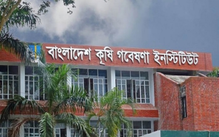 কৃষি গবেষণা ইনস্টিটিউটে ১৯৮ পদে চাকরি