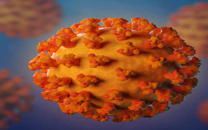 করোনায় প্রথম এক  রোহিঙ্গার মৃত্যু