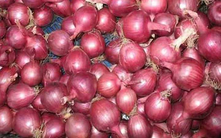 যে ছয়টি কাজ করলে পেঁয়াজ উৎপাদনে স্বয়ংসম্পূর্ণ হবে বাংলাদেশ