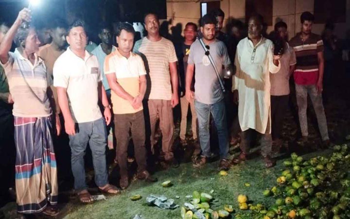 সাতক্ষীরায় রাসায়নিক মিশ্রিত ১ হাজার কেজি আম বিনষ্ট
