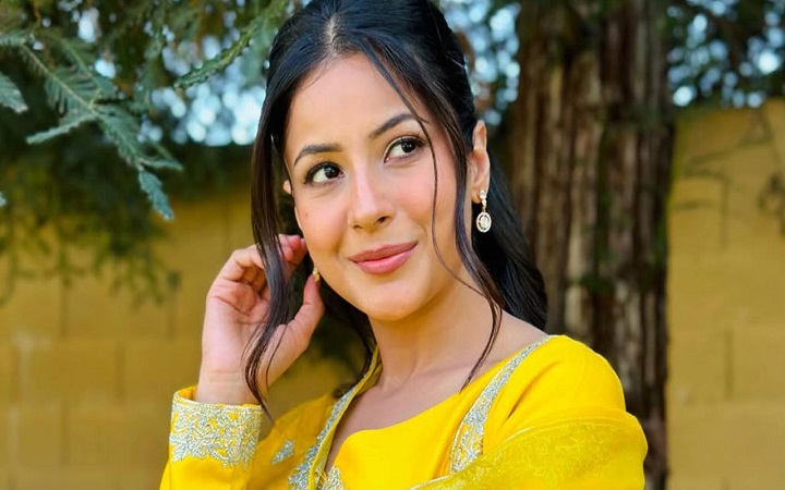 পরকীয়া নিয়ে মন্তব্য করে তোপের মুখে শেহনাজ গিল