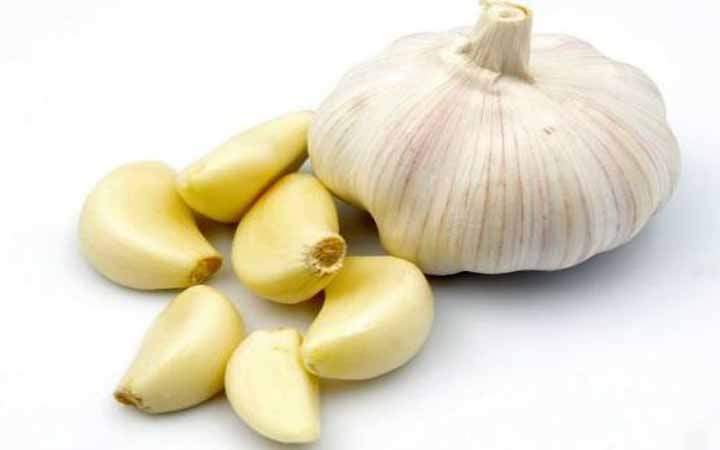 স্বাস্থ্য সুরক্ষায় রসুন