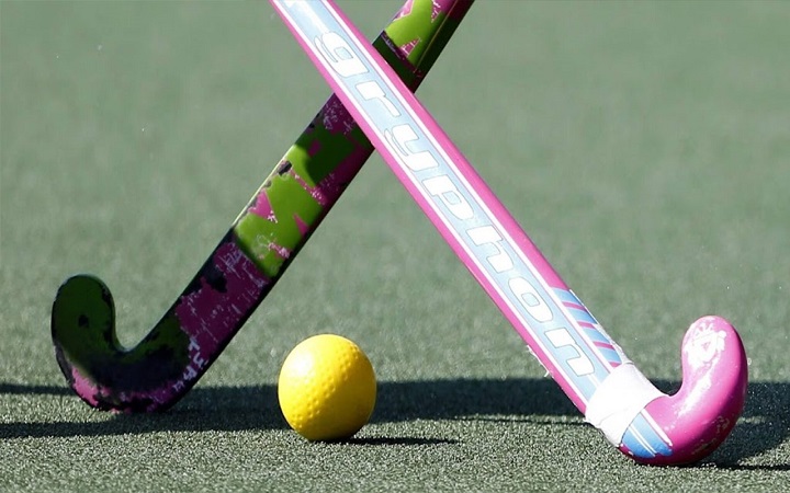 হাতাহাতির ঘটনায় সংশ্লিষ্টরা ৪ ম্যাচ নিষিদ্ধ