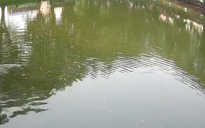 নিখোঁজের ২ দিন পর পুকুরে মিলল ওসমানের মরদেহ