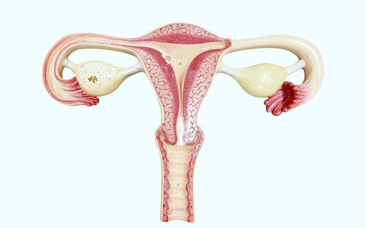 জরায়ুতে ২১ কেজির টিউমার অস্ত্রোপচার করে প্রাণ বাঁচল মহিলার