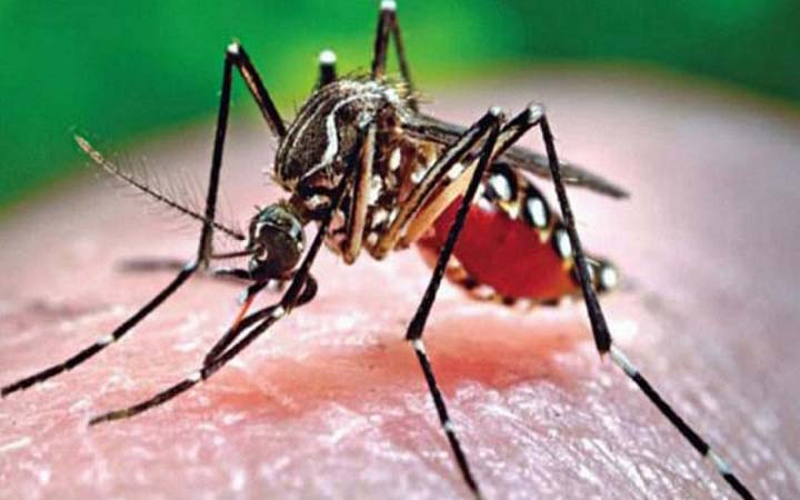 ডেঙ্গু আক্রান্ত আরো ১৫২ জন