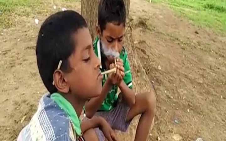 সুনামগঞ্জে ভারতীয় পাতার বিড়ি , আসক্ত শিশুরা