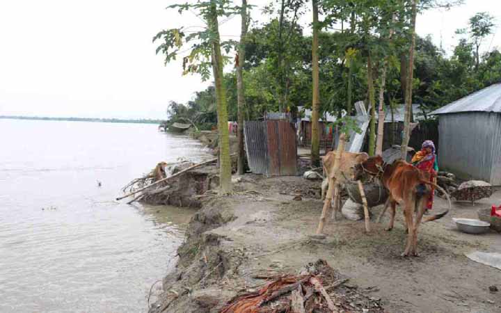 পঞ্চম দফা বন্যায় কুড়িগ্রামে পানিবন্দী ৬০ হাজার মানুষ