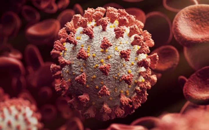 দেশে করোনায় আরো ২৬১ জনের মৃত্যু