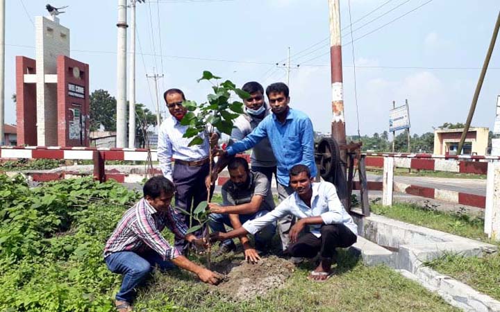 নিরাপদ সড়ক চাই পাবনা শাখার বৃক্ষরোপণ ও বিতরণ