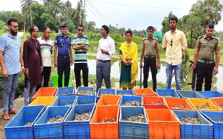 চিংড়িতে ভেজাল অব্যাহত থাকায় বাজার হারানোর শঙ্কায় রপ্তানিকারকরা