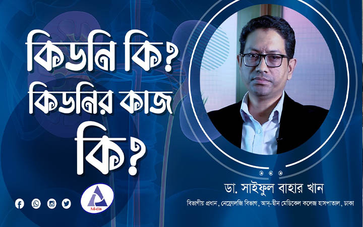 কিডনি কি? কিডনির কাজ কি?